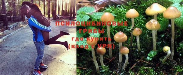 mdma Козловка